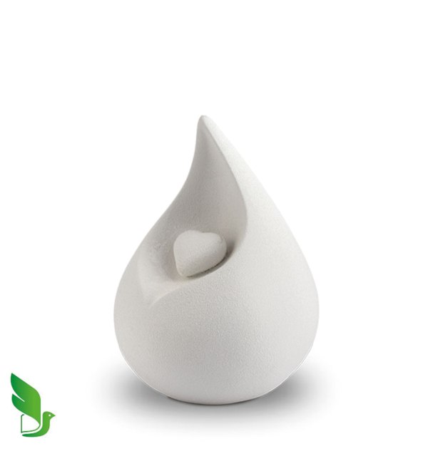 FPU025M_WEB