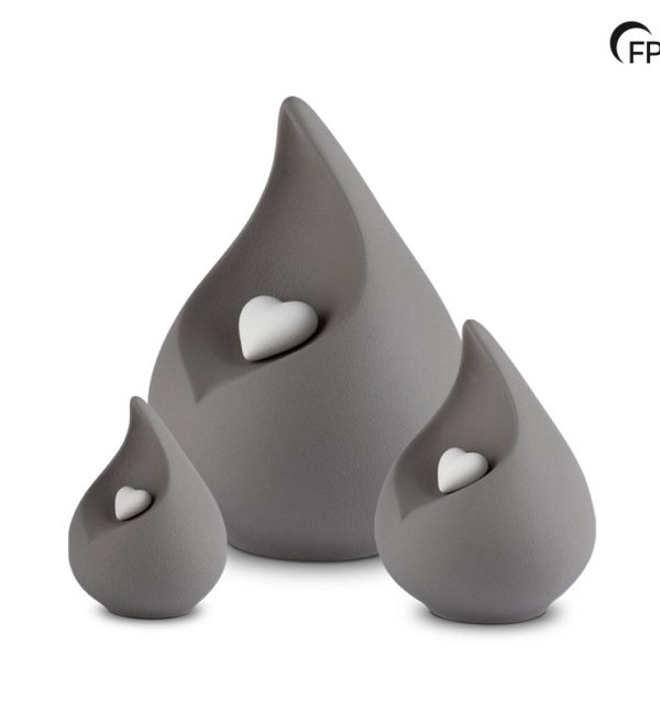 FPU046-SET_WEB