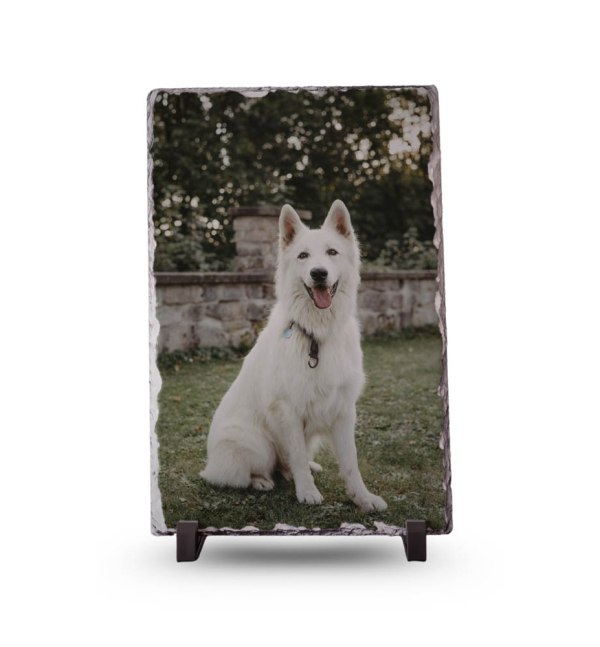 Rechthoek XL 20x30 - Hond (2)