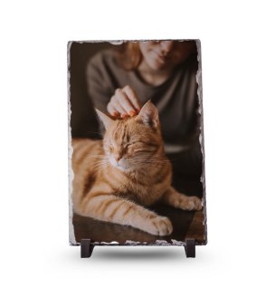 Rechthoek XL 20x30 - Kat