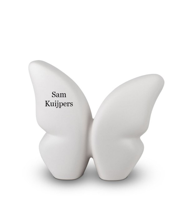 VWM_klas
